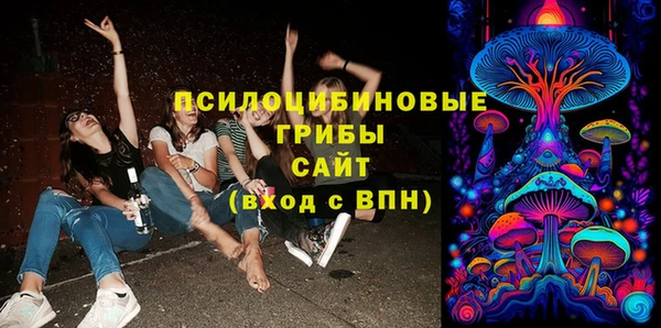 тгк Алзамай