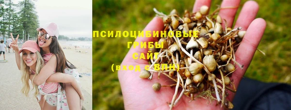 каннабис Алексеевка