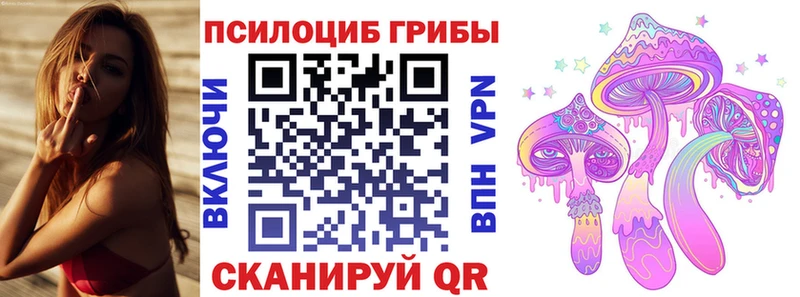 Псилоцибиновые грибы Cubensis  Алексин 